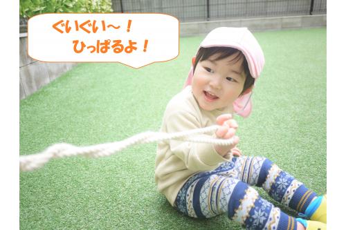 まずは、柵にくっつけたロープを引っ張って遊びました。<br><br><br><span style='color:#00ff00;'>優しく引っ張ったり、強く引っ張ったり</span>と力加減を調節していましたよ。<br><br><br>途中ほどけてしまうと「あぁ~あ…」と悲しそうにしていた子どもたち。<br>保育者がまたくっつけると<br><span style='color:#ff007f;'>「ありがとう」</span>が言えたり、ぺこっとお礼をしてくれました。<br>