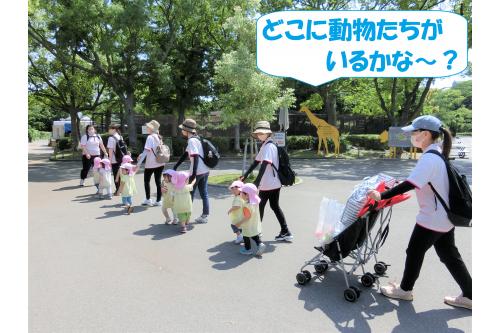 動物園につくと早速先生と手をつないで出発!<br><br><br><span style='color:#00ff00;'>「動物見つけたら先生にも教えてね~!」</span>と伝えると早速<span style='color:#ff7f00;'>「サイ!カバ!」</span>と看板を指さして教えてくれましたよ♪<br>