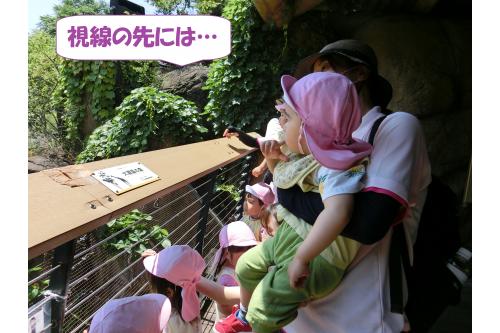 <span style='color:#00ffff;'>「あそこにいるよ~!」</span><span style='color:#ff7f00;'>「えぇ~?どこ?」</span>と<br>目を凝らして探していた子ども達<span style='color:#ffff05;'>(*^^*)</span>