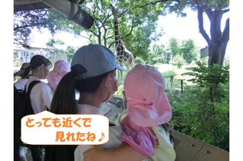 普段見ることのない動物たちに出会えたこともあり、<span style='color:#ff05ff;'>「キリンさんご飯食べてたね!」</span><span style='color:#007fff;'>「カバさんお水にいたよ!」</span>など帰ってきてからもお話ししてくれていました。<br><br><br>楽しい体験を通してたくさん思い出を作っていけたらいいなと思います<span style='color:#ff00ff;'>♪</span><br><br>また、次回のブログもお楽しみに<span style='color:#ffff00;'>★</span>