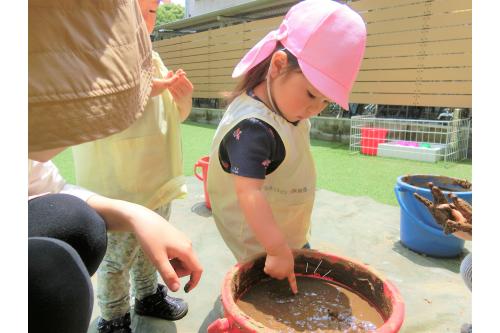 <span style='color:#00ff00;'>りすチーム（１歳児）</span>と<br><span style='color:#ff7f00;'>ひよこチーム（０歳児）</span>も<br>種まきをしましたよ<span style='color:#ff0000;'>♥</span><br><br>そーっと土を触ったり、<br>興味津々で触る子と反応は様々でした<span style='color:#ff28ff;'>(*^^*)</span>