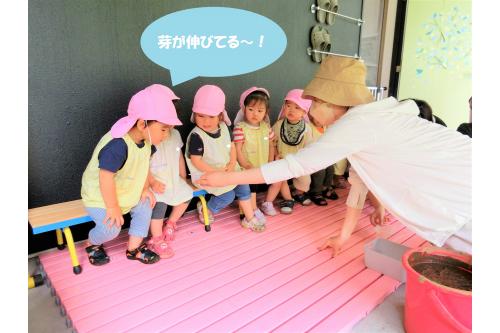 事前に土の表面に水が<br>たまらないくらいの水を入れ、<br><span style='color:#ff8c19;'>少し間隔をあけて</span>種もみをまいていきます<span style='color:#19ff8c;'>！</span><br><span style='color:#9328ff;'>深さ６～７ｍｍ（種もみ２つ分）</span>ほどで<br>指を押し込み、土を被せてください<span style='color:#ff0000;'>★</span>