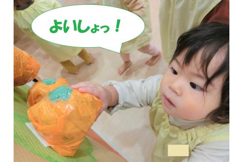 みかん狩りが始まると<span style='color:#ff007f;'>上手に収穫</span>できました!<br><br><br>高いところにあったものも<span style='color:#ff7f00;'>しっかりと取る</span>ことが出来ましたよ<span style='color:#00ffff;'>(*^^*)</span>
