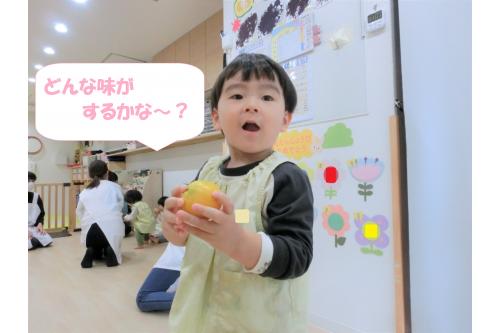 <span style='color:#ff7f00;'>「みかんの味はどんな味?」</span>と皮の匂いをクンクンとかいでみたり「あまいかな?」とウキウキの子どもたち<span style='color:#ffff00;'>★</span>