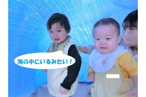 <span style='color:#007fff;'>海の中</span>にいるみたいだね！とニコニコ笑顔(<span style='color:#ff007f;'>*</span>^_^<span style='color:#ff007f;'>*</span>)<br><br>ブルーシートの中で思う存分楽しんだ後は、、、<br>