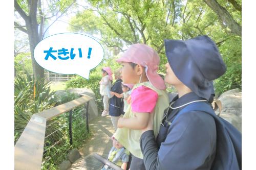 <span style='color:#ff9123;'>「こっち向いてよー！」</span>と<br>きりんに呼びかける子どもたち<span style='color:#ff2323;'>♪</span><br><br>その思いが通じたのか、<br><span style='color:#ff23ff;'>きりん</span>が近くに<span style='color:#9328ff;'>★</span>