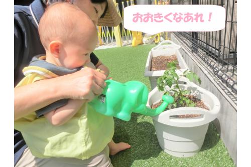 水やりは<span style='color:#ff7f00;'>ひよこチーム(0歳児)</span>も<br>チャレンジ!<br><br><br>保育者と一緒に上手に<br><span style='color:#007fff;'>水やり</span>をしてくれました。<br><br>きらきらと光る水に<br><span style='color:#7f00ff;'>興味津々</span>です!<br><br><br>みんなで大切に<br>育てていけたらと思います<span style='color:#00ffff;'>♪</span><br><br>また、次回のブログもお楽しみに<span style='color:#ffff00;'>★</span>