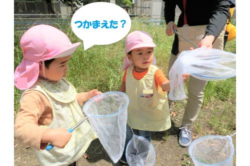 公園の中をお散歩しながら<br>「どこにいるかな?」と<br><span style='color:#ff19ff;'>蝶々</span>を探す子供たち<span style='color:#4ca5ff;'>♪</span><br><br>「あ!いたよ!」と見つけると走って<br>蝶々を追いかけ、網を振って<br>一生懸命捕まえようと頑張っていました<span style='color:#ff7abc;'>(^^)</span><br><br>蝶々の動きはとても早くて<br>なかなか捕まえられず<span style='color:#baff75;'>…</span><br><br>先生が捕まえました!<span style='color:#ff7a7a;'>(笑)</span>
