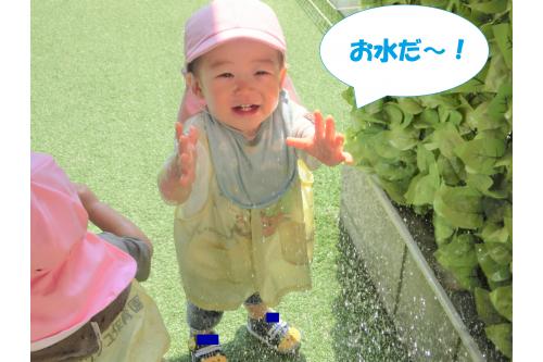 保育者がホースから水を出すと<br>「<span style='color:#007fff;'>お水だ～！</span>」とテンションが<br>上がり<span style='color:#ff7f00;'>大喜び</span>な子どもたち(^^<span style='color:#ff00ff;'>♪</span>