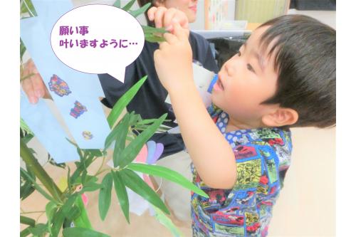 <span style='color:#1e1eff;'>2歳児クラス</span>のお友だちは、<br>保育者の援助なしでも<br>つけることができました<span style='color:#23ff23;'>！</span><br><br>みんなの願い事が叶いますように<span style='color:#ff2391;'>♡</span>