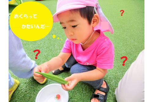 収穫した<span style='color:#00ff00;'>おくら</span>と<span style='color:#ff0000;'>トマト</span>のにおいをかいだり<br>触って<span style='color:#ffa851;'>感触</span>を確かめていました<span style='color:#007fff;'>♪</span><br><br><span style='color:#ff5bad;'>じっくり</span>と触ることがなかなかないので<br>「どうしてかたいの？」「チクチクしてる！」と<br><span style='color:#ff007f;'>い</span><span style='color:#7f00ff;'>ろ</span><span style='color:#007fff;'>い</span><span style='color:#00ff00;'>ろ</span>な発見がありました<span style='color:#ff7f00;'>!(^^)!</span>