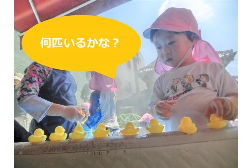 プールのふちに<span style='color:#ff7f00;'>アヒル</span>を並べて<br>遊んでいるお友達もいましたよ<span style='color:#ffff00;'>♪</span><br><br><span style='color:#00ffff;'>プール遊び</span>が始まった頃は<br>水の中に入ることが<span style='color:#7f00ff;'>苦手</span>な<br>お友達もいましたが、、、<br><br>今では<span style='color:#00ffff;'>プール遊び</span>が<br><span style='color:#ff3d9e;'>大好き</span>な子どもたちです<span style='color:#ff007f;'>♡</span><br><br>次回の<span style='color:#00ff7f;'>ブログ</span>もお楽しみに～<span style='color:#ff7f00;'>♪</span>