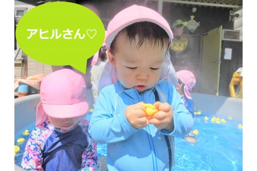 今回は<span style='color:#ff7f00;'>アヒル</span>をたくさん<br>浮かべて遊びました！<br><br><span style='color:#3d3dff;'>プカプカ</span>と水の中を<br>泳がせている子もいれば<br><span style='color:#ff7f00;'>アヒル</span>を大事そうに持って<br><span style='color:#ff00ff;'>見つめ合う子も</span>、、、<br>