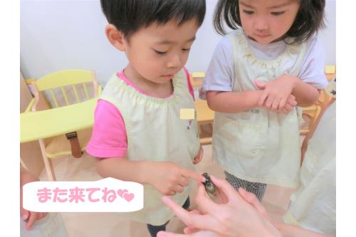 <span style='color:#00ff00;'>「せみさんこっちおいで～！」</span>と<br>大喜びだったのはうさぎチーム（2歳児）！<br><br><br><span style='color:#7f00ff;'>「やさしくするんだよ」</span><span style='color:#ff7f00;'>「ちょんちょんってできた！」</span>と<br>すっかり仲良くなれたようすでした<span style='color:#ff00ff;'>(^-^)</span><br><br><span style='color:#0000ff;'>「またおいで～！」</span>と<br>名残惜しそうにしながらも<br>バイバイもできました。<br><br><br>秋になったら<br><span style='color:#05ff05;'>虫かごや虫取り網</span>をもって<br>公園に出かけたいと思います<span style='color:#ff00ff;'>♪</span><br><br>また、次回のブログもお楽しみに<span style='color:#ffff00;'>★</span>