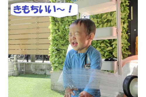 水にもすっかり慣れて<br>顔に少しかかっても<br><span style='color:#ff7f00;'>へっちゃらに！</span><br><br>それどころか<br><span style='color:#ff007f;'>「もっとかけて～！」</span>と<br>顔をシャワーに近づける<br>なんて姿も見られるようになり<br><span style='color:#7f00ff;'>ビックリ</span>です<span style='color:#7fff00;'>(^-^)</span>