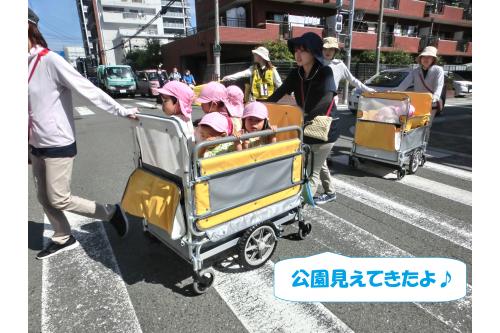 まずはみんなで<br>公園へ向かいます！<br><br>信号が変わったら<br><span style='color:#0000ff;'>「青なったよ～！」</span><span style='color:#ff007f;'>「進む！」</span>と<br>教えてくれる子どもたち。<br><br>交通ルールも<br>ばっちりです<span style='color:#ffff00;'>★</span>