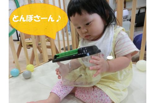 <span style='color:#ff75ff;'>自分で持ってみたい！</span>と、<br>虫かごをしっかり持って<br>近くでじっくり観察中<span style='color:#baff75;'>(*'ω'*)</span><br><br>涼しくなってきたので、お外遊びや<br>公園で虫などのたくさんの<span style='color:#75ffba;'>自然</span>に触れて<br><span style='color:#7575ff;'>興味・関心</span>を引き出せていけたらと思います<span style='color:#ffba75;'>♪(^^</span><br><br>次回のブログもお楽しみに<span style='color:#ff7a7a;'>♪</span>