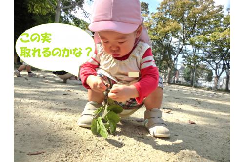 公園内を散策していると<br><span style='color:#9123ff;'>どんぐり</span>や色づいた<span style='color:#2893ff;'>葉っぱ</span>が<br>落ちていて<span style='color:#ff4242;'>色</span><span style='color:#ffa042;'>ん</span><span style='color:#ff4242;'>な</span><span style='color:#ffa042;'>秋</span>を<br>見つけることができました<span style='color:#42ff42;'>!(^^)!</span><br><br>これからも子どもたちと一緒に<br>色んな<span style='color:#ff42ff;'>発見</span>をしていきたいですね<span style='color:#ff00ff;'>♡</span><br><br>次回のブログもお楽しみに～<span style='color:#ffff00;'>★</span>
