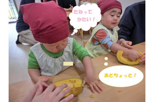 <span style='color:#ffbc7a;'>りすチーム（１歳児）</span>は<span style='color:#7affbc;'>手</span>を使って<br><span style='color:#ff7aff;'>うさぎチーム（２歳児）</span>は<span style='color:#bcff7a;'>スプーン</span>を使って<br><span style='color:#ffbc7a;'>かぼちゃ</span>の<span style='color:#7affbc;'>種とワタ</span>をとりました<span style='color:#ffff00;'>★</span><br><br>取れた<span style='color:#ff7a7a;'>種</span>を触ると<span style='color:#7abcff;'>とっても固く</span>て<br>子どもたちも<span style='color:#bc7aff;'>びっくり</span><span style='color:#ff0000;'>！！</span><br><span style='color:#ff7f00;'>かぼちゃ</span>について<span style='color:#ff7abc;'>新しい発見</span>をすることができました<span style='color:#00ffff;'>(^^)</span>