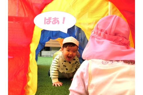 <span style='color:#baff75;'>トンネル</span>をくぐると、お友だちと一緒に<br>遊ぶ様子が見られました<span style='color:#ffba75;'>(^^♪</span><br><br>反対側で待っていたお友だちが<br><span style='color:#ff75ff;'>「おいで~」</span>と手招きすると、<br><span style='color:#75ffff;'>「まって~」</span>と言わんばかりにおいかけたり<br>お友だちを意識しながら<br>遊んだりすることが増えてきた<br>ひよこチームさんです<span style='color:#ff7575;'>♪</span><br><br><span style='color:#75ffba;'>次回のブログもお楽しみに♪</span>