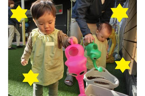 本来植え付けの時期でない<br>タイミングでの植え付けとなったので<br><span style='color:#ff007f;'>「成長するのか?」</span><span style='color:#7f00ff;'>「実をつけるのか?」</span><br>とわからないことが多々ありますが<br>子どもたちと<span style='color:#00ff00;'>大切に</span>育てていけたら<br>いいなと思います。<br><br>毎日りすチーム、うさぎチームから<br>一人ずつ<span style='color:#00ff00;'>お当番で水やり</span>を<br>頑張ってもらおうと思っています!<br><br>お家でもぜひその時の様子を<br>聞いてみてくださいね<span style='color:#00ffff;'>(^-^)</span><br><br>また、次回のブログもお楽しみに<span style='color:#ffff00;'>★</span>