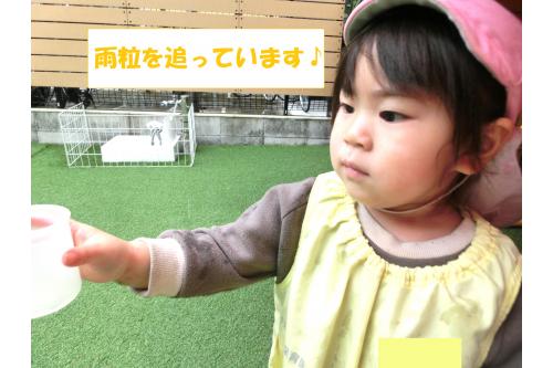 カップも出して<br>雨粒を中に入れましたよ<span style='color:#1effff;'>★</span><br><br>下に置いたり、<br>手に持って雨粒を<span style='color:#28ff28;'>追いかけたり</span>と<br>様々な遊び方を楽しみましたよ<span style='color:#ff9328;'>!</span>