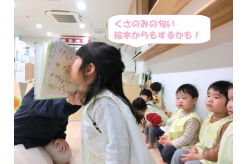 <span style='color:#00ff00;'>「くさのみってとってもいいにおい」</span><br>というページでは<br><span style='color:#7f7fff;'>「絵本もにおいする~?」</span>といいながら<br>みんなでにおいをかいでみました。<br><br><span style='color:#7f00ff;'>「紙の匂いがしたわ~」</span>だそうです(笑)<br>