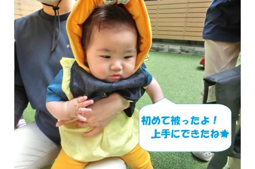 ひよこチームさんも<br><span style='color:#00ff00;'>防災頭巾に初挑戦！</span><br>なにこれ？と不思議そうにしながらも<br>上手にかぶっていました<span style='color:#ffff00;'>★</span>