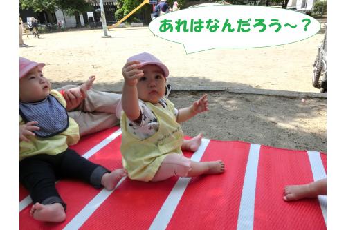まずはみんなで<br>公園遊びを楽しみます<span style='color:#ffff00;'>★</span><br>ひよこチームは<br><span style='color:#ff007f;'>初めての公園!</span><br><span style='color:#00ff00;'>なにがあるかなぁ?</span><br><span style='color:#7f00ff;'>どんな遊びをしているかなぁ?</span>と<br>きょろきょろ観察していましたよ<span style='color:#00ff7f;'>(^^♪</span>