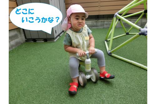 <span style='color:#7f00ff;'>三輪車</span>は慣れた様子で<br>足でビューンと駆け抜けます！<br><br>「<span style='color:#00ff00;'>ひよこチームさん</span>もいるから<br>気を付けて乗ろうね」と言うと<br><span style='color:#007fff;'>「どこだと走れるかなぁ」</span>と<br>思案している姿が見られます。<br><br><br>かわいいひよこチームさんに<br>うさぎチームもりすチームも<br>メロメロで<span style='color:#ff007f;'>「かわいい♡」</span>と<br>よく聞こえてきますよ<span style='color:#00ff7f;'>(^^♪</span>