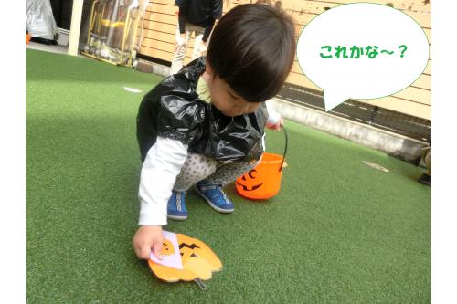 キャラクターの横に<br><span style='color:#1eff1e;'>カード</span>を置いて<br>「<span style='color:#5badff;'>これは一緒かな？</span>」<br>と見比べながら探す姿や<br>