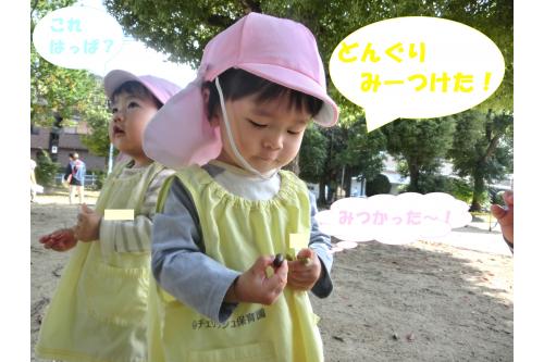 公園の様子も少しずつ変わり、<br><span style='color:#7fff00;'>緑色</span>から<span style='color:#ff007f;'>赤色</span>が増えました<span style='color:#ffbc7a;'>(^^♪</span><br>子どもたちも「あった~」「みて~」と<br><span style='color:#ff7aff;'>たくさん</span>の変化に気付いて教えてくれます<span style='color:#ffff00;'>★</span>