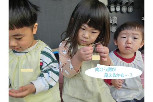 手で<span style='color:#7f00ff;'>ギューッと</span>落ちないように<br>持っているとだんだん溶けてまた<span style='color:#007fff;'>水</span>に!<br><br><span style='color:#ff7f00;'>「手濡れてきた!」</span>と<br>新発見もありました。<br><br>私たちが生活している場所では<br><span style='color:#0000ff;'>雪や氷</span>はなかなか自然に見るのは<br>難しいものです。<br><br>ですが、わずかな<span style='color:#ff007f;'>チャンス</span>を<br>逃さないようにこれからも<br>子ども達にたくさんの<span style='color:#00ff00;'>自然</span>を<br>伝えていけたらと思います♪<br><br>また、次回のブログもお楽しみに<span style='color:#ffff00;'>★</span>