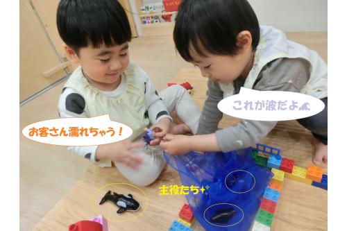 ごっこあそびもだいすきでブロックでステージを作り<br><span style='color:#ff7f00;'>「シャチのショー」</span>を開催してくれました!<br><br>お休みの日の経験をごっこあそびに取り入れる姿も増え<br><span style='color:#00ff00;'>「○○って知ってる?」</span>なんて会話も<span style='color:#ffff00;'>★</span><br>ちなみにスカーフを使用して<br>水を表現するリアリティに<br>保育者も思わず<span style='color:#7f00ff;'>「すごい表現力!」</span>と<br>驚きました!<br>