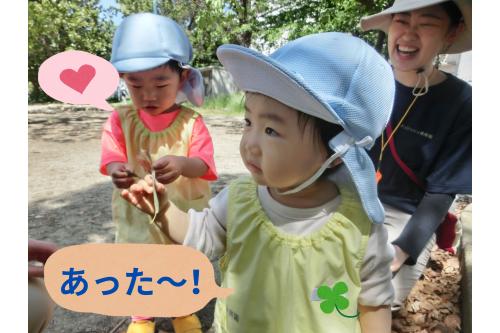 <span style='color:#23ff23;'>りすチーム(1歳児)</span>も、公園を散策♪<br>葉っぱに<span style='color:#ff2d96;'>興味津々!</span><br><br>「<span style='color:#96ff2d;'>いろんな形</span>があるね~」<br>「こっちは、<span style='color:#2dff96;'>みどり</span>!<span style='color:#ff9933;'>きいろ</span>もあった!」<br><br><br>お話も<span style='color:#ff2828;'>上手</span>になってきて、<br><span style='color:#962dff;'>いろんな発見</span>を伝えてくれます<span style='color:#ff28ff;'>❤</span>