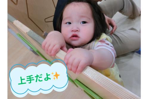 <span style='color:#ff8205;'>つかまり立ち</span>がだいすきで<br>上手に立てるのを<br>見せてくれるようになった子ども達<span style='color:#ff007f;'>♡</span><br><br>ゲートの向こうにいる<br>お兄ちゃんお姉ちゃんにも<br><span style='color:#007fff;'>「上手だね!」</span>と<br>たくさん褒めてもらっています<span style='color:#ffff00;'>★</span>