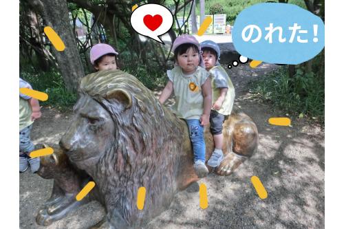 <span style='color:#ff7f00;'>ライオンさん</span>の銅像を見つけて<br>最初は<span style='color:#7abcff;'>恐る恐る</span>触っていた子どもたち…。<br><br><span style='color:#7aff7a;'>動かない</span>とわかると<span style='color:#ff7a7a;'>ペタペタ</span>触ったり、<br>「<span style='color:#ff7aff;'>乗ってみたい</span>!」と上手にまたがって<br><span style='color:#bc7aff;'>ニコニコ</span>でした<span style='color:#bcff7a;'>(^^♪</span>