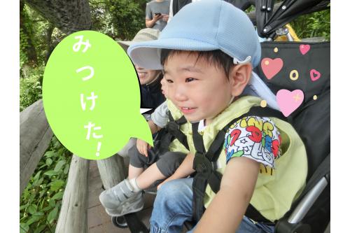 <span style='color:#bc7aff;'>写真</span>や<span style='color:#7affbc;'>絵本</span>で見ていた<span style='color:#ffbc7a;'>動物</span>を<br>実際に見て、子どもたちの<br><span style='color:#7a7aff;'>目</span>もキラキラ✨(笑)<br><br>いろいろな<span style='color:#ff7abc;'>表情</span>が見れました<span style='color:#bcff7a;'>(^^♪</span>