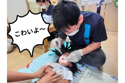 最後まで、<span style='color:#ff2d96;'>にこにこ</span>して<br><span style='color:#2dff2d;'>友達の様子を見ながら</span>順番を待っていた<span style='color:#2828ff;'>りすチームのお友達(*'ω'*)</span><br>・・・まさかの<span style='color:#2d96ff;'>大泣き</span>でした<span style='color:#ff9933;'>(笑)</span><br><br>でも、<span style='color:#ff2391;'>顔をそむけることなく</span>しっかり口を<span style='color:#ff28ff;'>開けることができました♥</span><br><br><span style='color:#33ff33;'>下半期の歯科健診</span>では、<br>また<span style='color:#ff2828;'>違った姿</span>が見られるかな<span style='color:#ff2893;'>♬</span><br><br><span style='color:#ff9933;'>次回のブログ</span>もお楽しみに<span style='color:#ffff33;'>★</span>