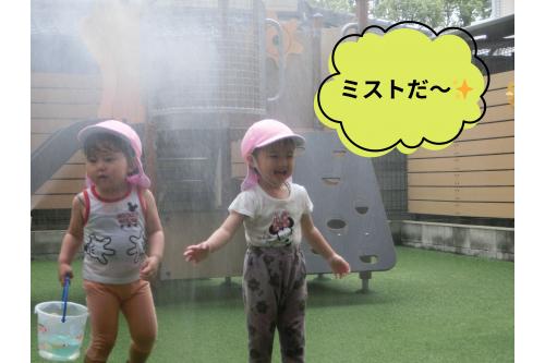 ホースで水を<span style='color:#ff007f;'>ミスト</span>状にすると<br><span style='color:#ff7f00;'>「わー!」</span>と駆け寄ってきてミストの中へ。<br><br>暑い日には<span style='color:#007fff;'>とっても気持ちいい</span>ですよ<span style='color:#00ff7f;'>♪</span>