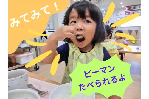 以前は<span style='color:#8e1eff;'>苦手そうだった</span>子ども達も<br><span style='color:#ff962d;'>この通り☆</span><br><br><span style='color:#2dff2d;'>繰り返し触れることで</span><br>苦手意識が<span style='color:#ff2dff;'>やわらいだ様です♡</span><br><br><span style='color:#ff3333;'>小松菜もそろそろ</span>収穫できるかな～<span style='color:#ff2893;'>(*'▽')</span><br>次回のブログも<span style='color:#ff9e3d;'>お楽しみに♪</span>