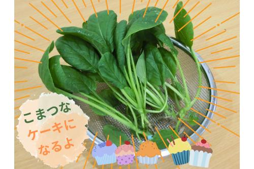 土を<span style='color:#2dff2d;'>落として</span><span style='color:#ff33ff;'>調理室へ♪</span><br><br>今回は、<br><span style='color:#2dff2d;'>ほうれん草ケーキ</span>を変更して<br><span style='color:#ff389b;'>小松菜ケーキ</span>をお願いしました<span style='color:#3399ff;'>( *´艸｀)</span><br><br><span style='color:#ff9933;'>お</span><span style='color:#9328ff;'>い</span><span style='color:#ff2391;'>し</span><span style='color:#33ff99;'>く</span><span style='color:#ff2828;'>なぁれ♪♪</span>