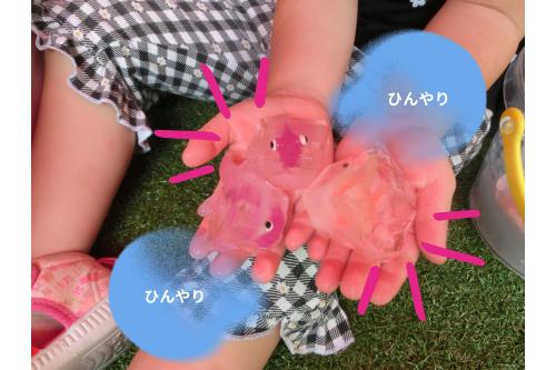 今回は<span style='color:#ff7575;'>金魚</span>や<span style='color:#ba75ff;'>ストーン</span>、<span style='color:#75ff75;'>フィギュア</span><br>を一緒に凍らせてみました!<br><br><br><span style='color:#ffb770;'>「なんだこれー!」</span><br>と<span style='color:#ff70ff;'>ビックリした表情</span>を見せる<br>こどもたち<span style='color:#ff75ff;'>(^^♪</span>