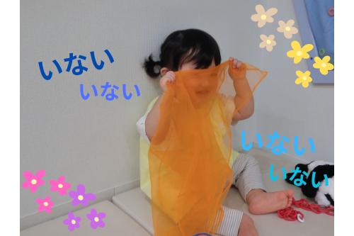 <span style='color:#ff7f00;'>リトミックスカーフ</span>を出すと<br>すかさずいないいない…<br>