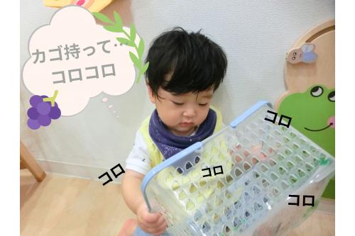 まずは<span style='color:#99ff33;'>ひよこチーム(0歳児)</span>から♪<br><br>初めての<span style='color:#3399ff;'>ビー玉転がし</span>に<br>挑戦したのですが<br>この<span style='color:#ff38ff;'>真剣な表情✨</span><br><br>カゴを持ってビー玉が<br><span style='color:#9933ff;'>動くことが楽しかった</span>ようで<br>カゴを<span style='color:#ff3838;'>一生懸命</span>振って<br>楽しんでいました(*^^*)<br>