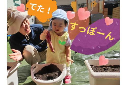 <span style='color:#2d96ff;'>りすチーム（１歳児）</span>も、<br>期待して<span style='color:#ff2893;'>土</span>を掘ってみます<span style='color:#99ff33;'>( ｀ー´)ノ</span><br><br>少し土の感触に<span style='color:#2d2dff;'>困惑</span>する姿もありましたが<br>無事に<span style='color:#9328ff;'>さつまいも</span>を発見<span style='color:#ff9933;'>★</span><br><br><span style='color:#ff3399;'>片手</span>で持つのは<br>手が汚れたくないから？！<br><span style='color:#ff962d;'>汚れること</span>を嫌がる姿も<br><span style='color:#33ff99;'>成長</span>の一つですね♪<br>