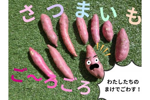 絵本のストーリーと同じで、<br><span style='color:#9328ff;'>さつまいも</span>を収穫することに<span style='color:#ff9933;'>成功</span><span style='color:#ff28ff;'>(^_-)-☆</span><br><br>「今日の給食に、<span style='color:#962dff;'>さつまいも</span>が使われるよ！<br>見つけたら、教えてね」の一言に<br>さらに<span style='color:#9933ff;'>食事を楽しむ</span>子ども達でした♪<br><br><br>ご家庭でも、<br><span style='color:#2dff2d;'>調理前の野菜</span>に触れるだけで<br><span style='color:#ff9933;'>食に興味をもつ</span>こともあるので<br>おススメです<span style='color:#ff28ff;'>(^^)/</span><br><br>次回の<span style='color:#ff2391;'>ブログ</span>も、<span style='color:#ff9933;'>お楽しみに★</span>