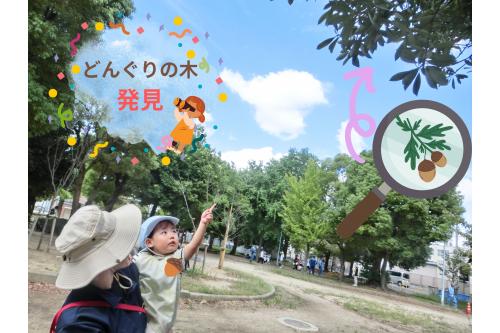 <span style='color:#ff9933;'>りすチーム</span>が公園の<br>お掃除の方とお話して<br>情報収集…<br><br><span style='color:#9328ff;'>どんぐりの木</span>を<br><span style='color:#ff2d96;'>発見</span>しました✨<br>