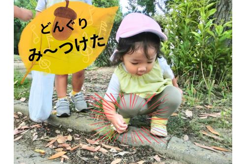 その下には…<br>たくさんの<br><span style='color:#ff962d;'>どんぐり</span>が✨<br>