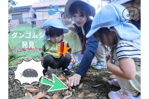<span style='color:#28ff93;'>ダンゴムシ</span>も発見✨<br>少し<span style='color:#9328ff;'>怖がって</span>いたり<br><span style='color:#96ff2d;'>興味津々で</span>触ってみたり<br>いろいろな子どもたちの<br><span style='color:#2d96ff;'>反応がありました☆</span><br><br>帰り道や帰園後も<br>「<span style='color:#ff9328;'>どんぐりころころ～♪</span>」と<br>歌ってみたり<br>「<span style='color:#2dff2d;'>だんごむしいたね～</span>」と<br>振り返ってお話していました(*^^*)<br><br>これからも<span style='color:#ff28ff;'>お散歩日和</span>には<br>お外に出て<br><span style='color:#28ff93;'>色々な出会い</span>を<br>増やしていければと<br>思います(^^♪<br><br>次回のブログもお楽しみに<span style='color:#ff962d;'>★</span>